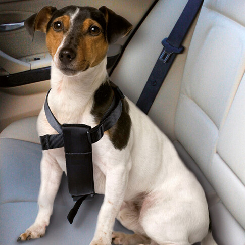 Auto-Sicherheitsgurt für Hunde Hundegurt mit Verbindungsstück