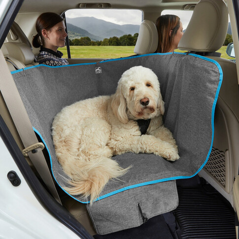 Kurgo Rover Booster Seat Autositz für Hunde - schwarz/blau