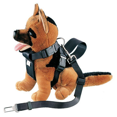  10 Gurtadapter 25mm Auto-Gurtschnalle für Hunde Adapter  Hundegeschirr Gurtschloss