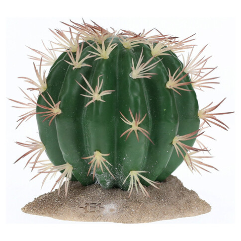Terra Della Dekoration Kaktus Echinocactus grün mit großen Stacheln