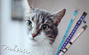 Trixie Cat nyakörvek termékcsalád