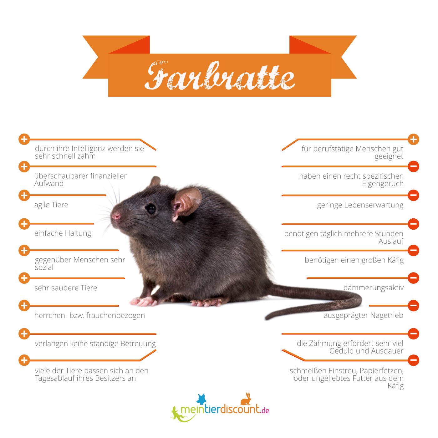 Farbratte