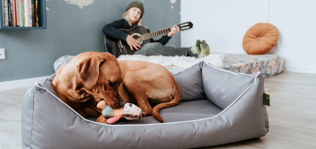 kaufland trockenfutter hund Hunde Trockenfutter online bestellen