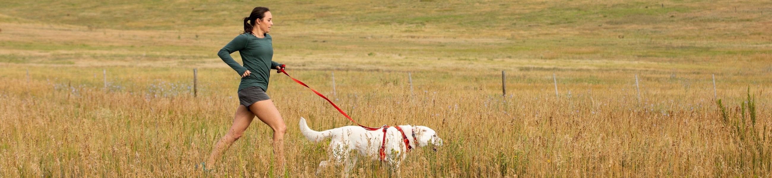 Ruffwear Front Range