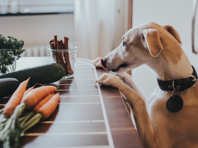 Hunter Nature Hundesnacks