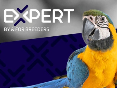 Witte Molen EXPERT Vogelfutter