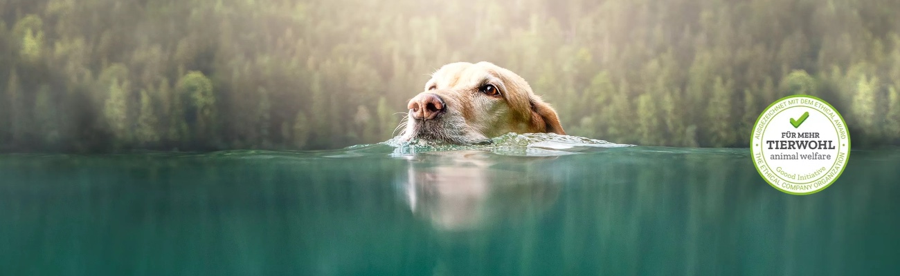 Goood Hundefutter Imagegrafik