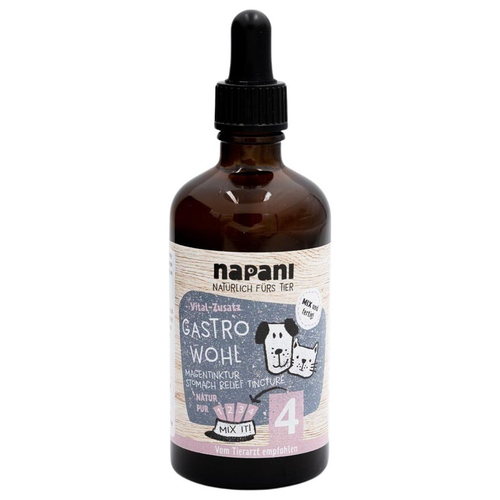 napani GastroWohl Magen-Tinktur für Hunde, Inhalt: 100 ml