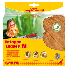 Abbildung sera Catappa Leaves M 10er Pack