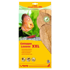 Abbildung sera Catappa Leaves XXL 10er Pack