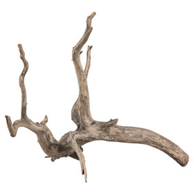 Abbildung sera Scaper Root