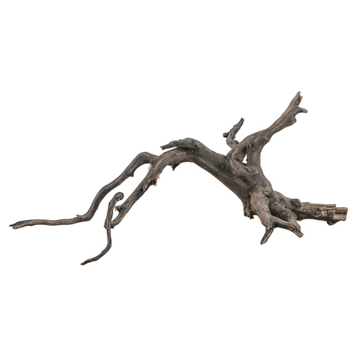 weitere Abbildung sera Scaper Root