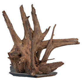 Abbildung sera Scaper Wood