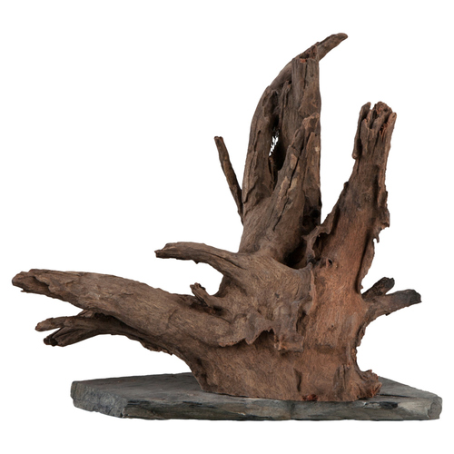 weitere Abbildung sera Scaper Wood